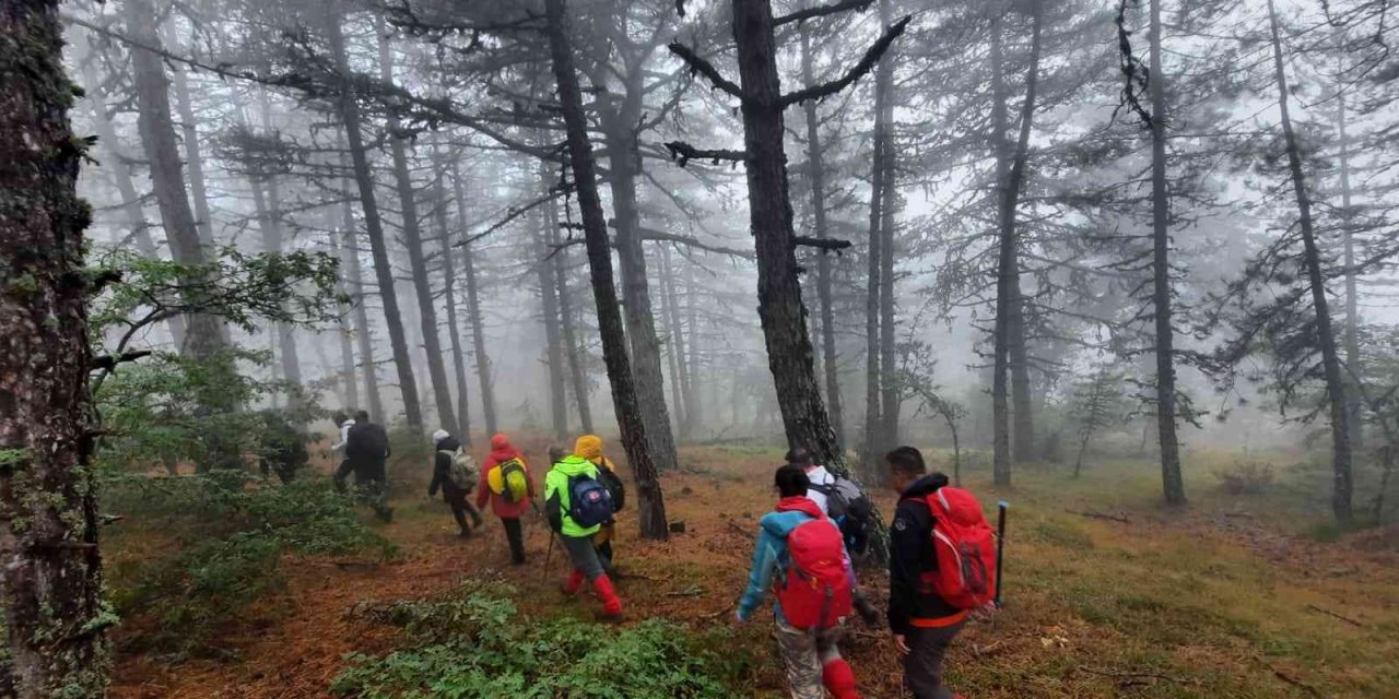 Sonbahar Manzarasında 15 Kilometrelik Doğa Yürüyüşü