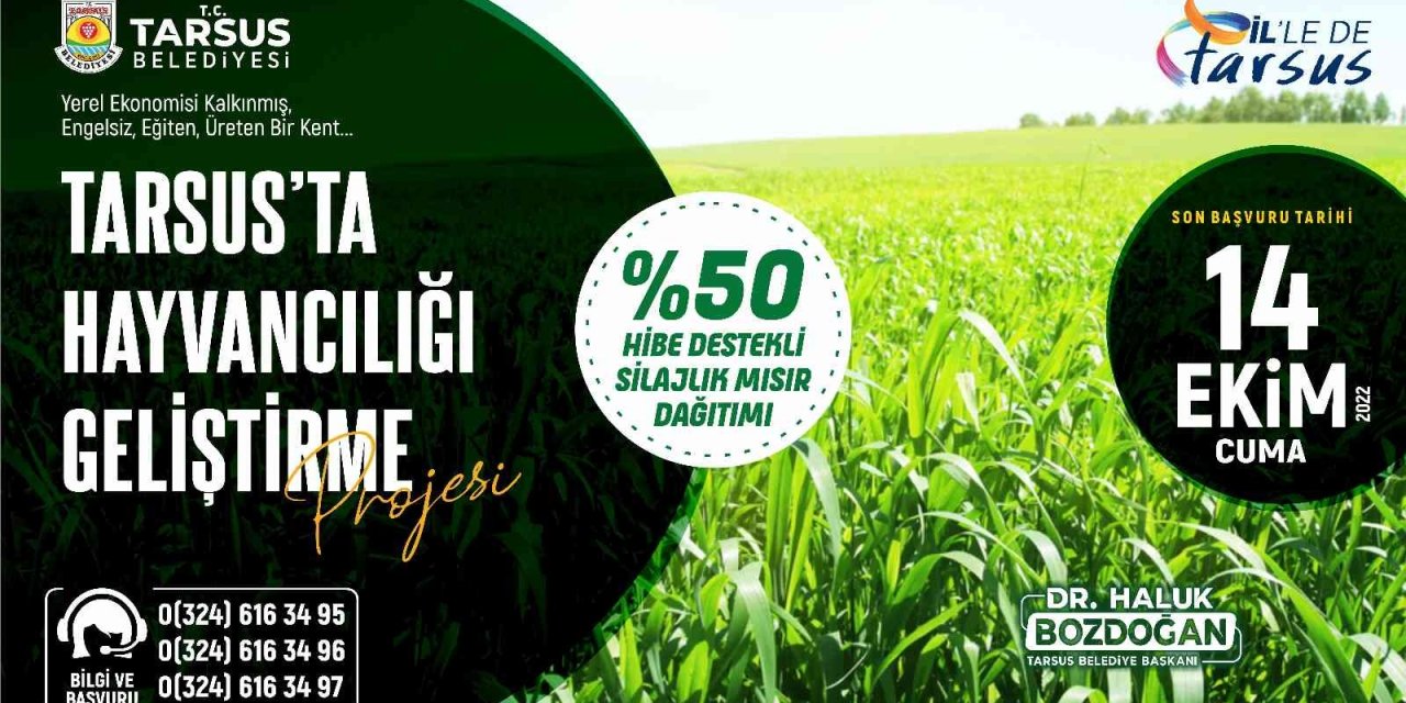 Tarsus Belediyesinden Besicilere Silajlık Mısır Yemi Desteği