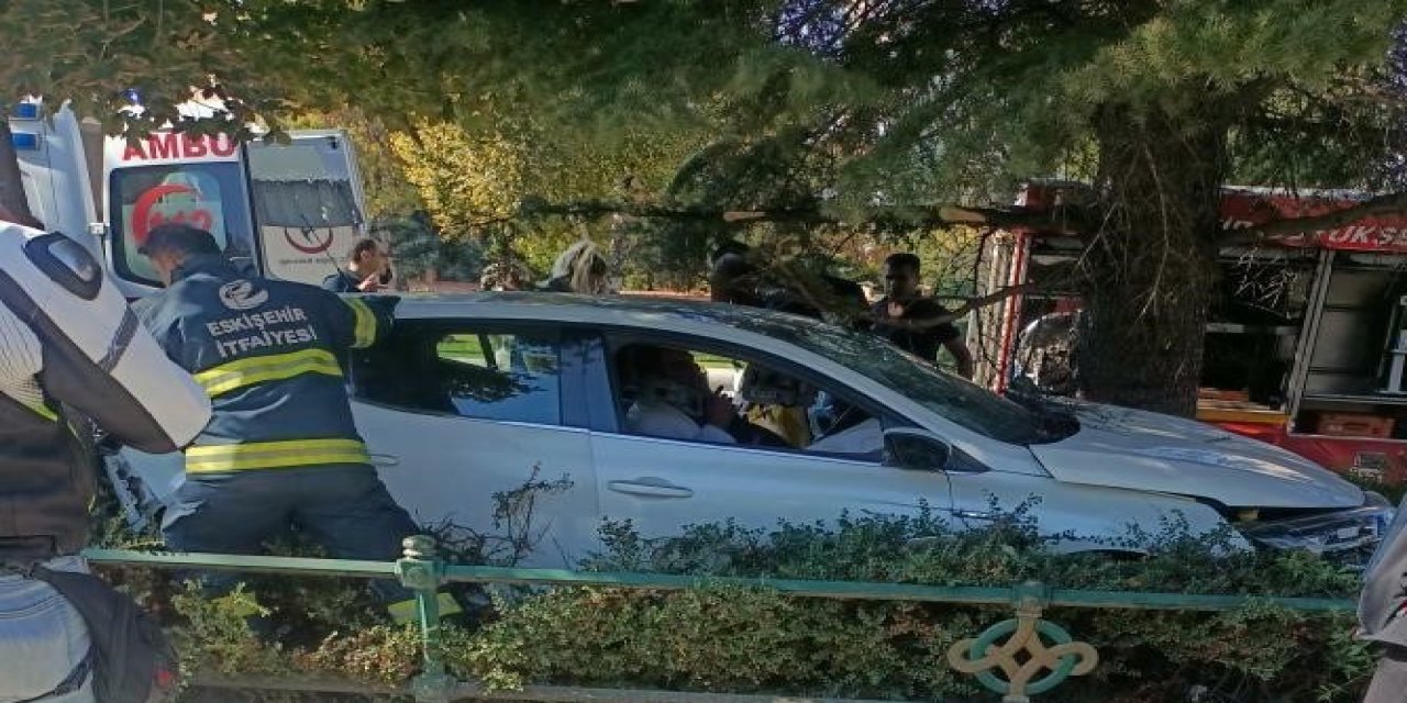 Ağaca Çarpan Otomobilin Sürücüsü Yaralandı