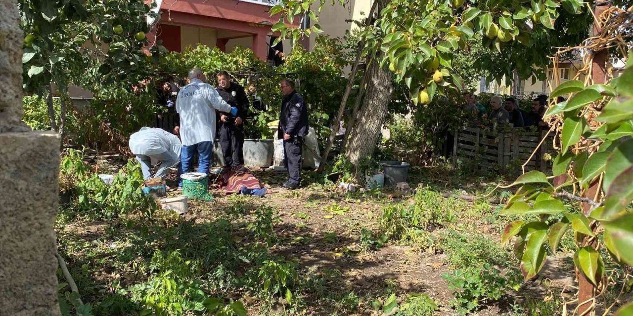 Ceviz Ağacından Düşen Şahıs Hayatını Kaybetti