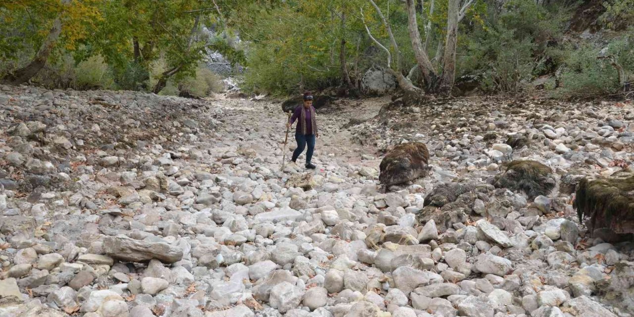 Antalya’da Üzümdere Irmağı Kurudu, Yavru Alabalıklar Telef Oldu