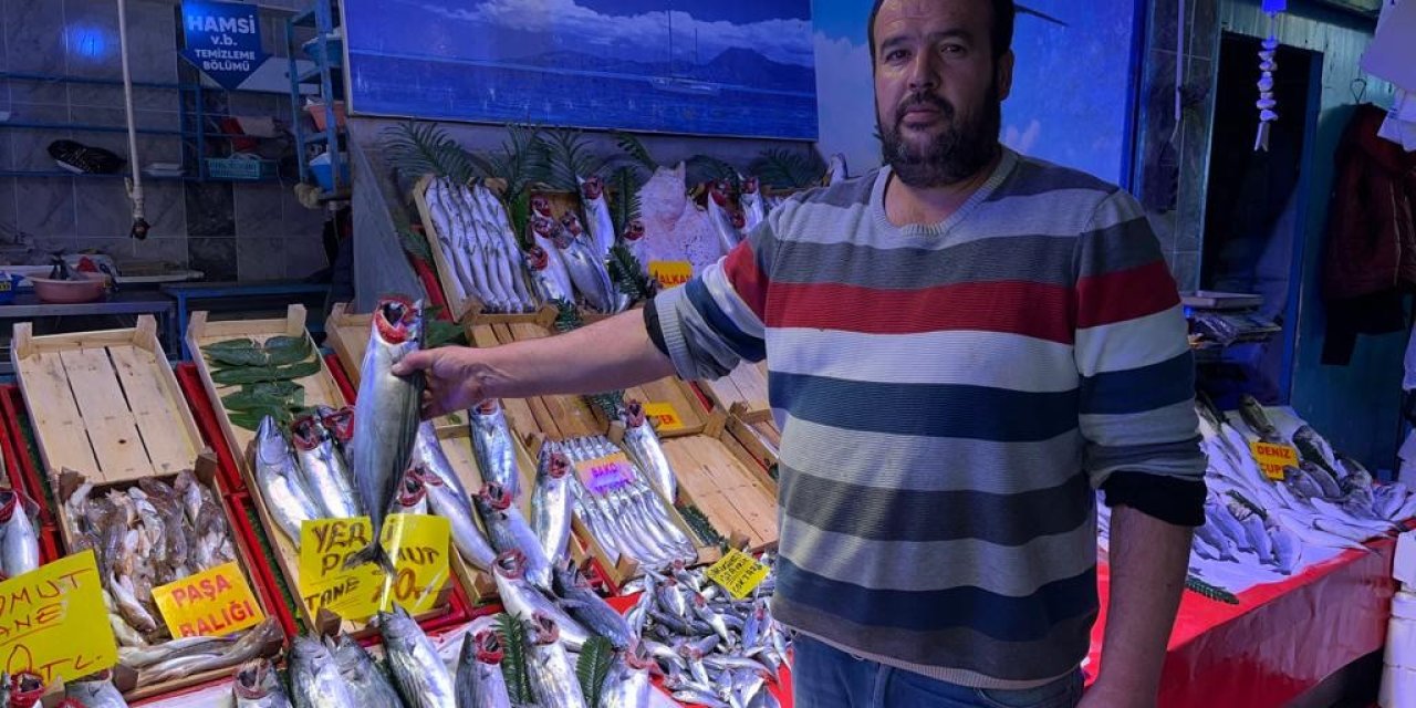 Tezgâhlarda Balık Çeşitliliği Ve Bolluğu Artıyor