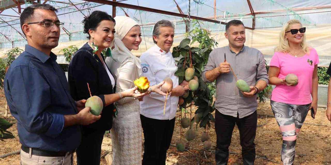 Alanya’da Tropikal Hasat Şöleni