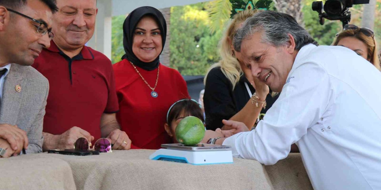 Alanya’nın En Ağır Avokadosu 610 Gramla Ödülü Aldı