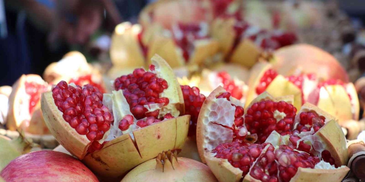 Gazipaşa’nın En Ağır Çekirdeksiz Narı Belli Oldu