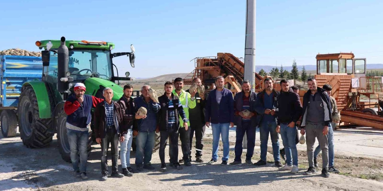 Günyüzü’nde Şeker Pancarı Alımına Başlandı