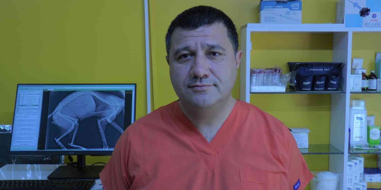 “soğuk Havalarda Aracı Çalıştırmadan Önce Motor Kaputuna Vurun”