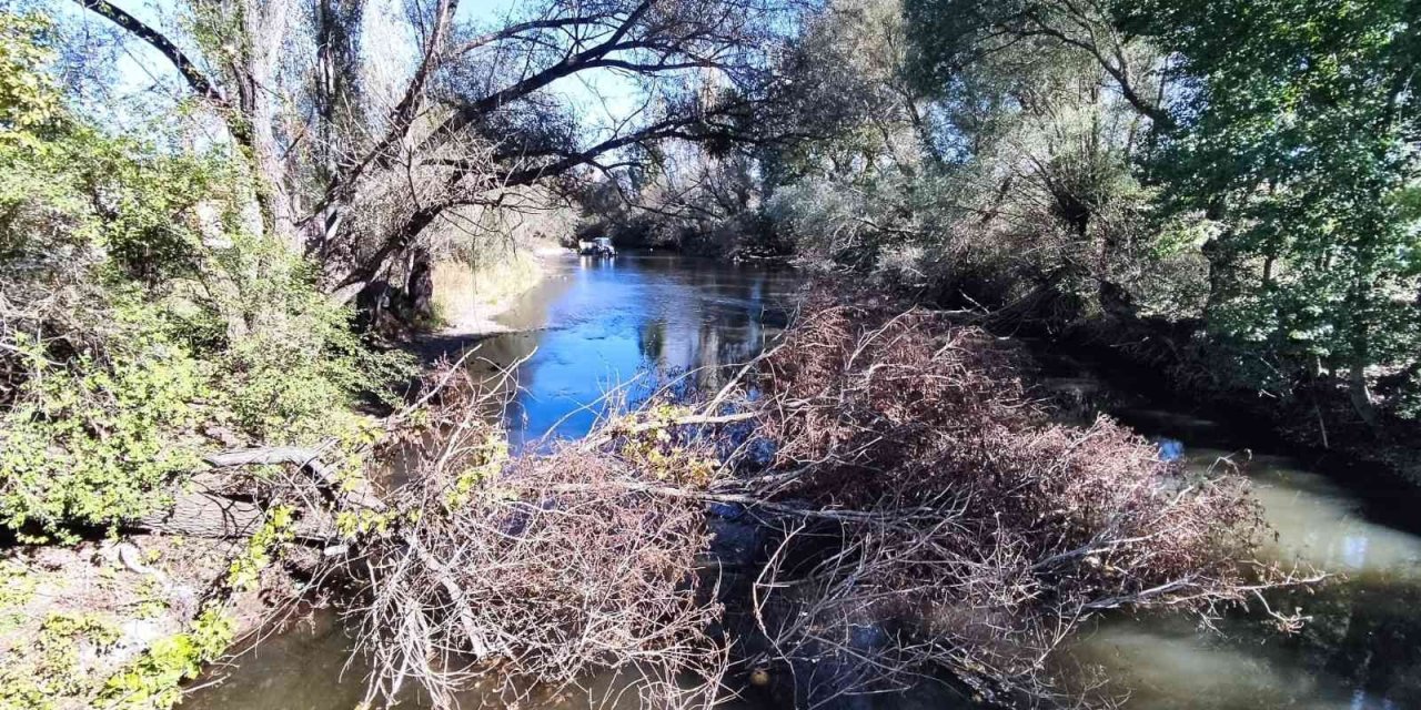 Porsuk Çayı’na Devrilen Ağaçların Kaldırılması İsteniyor
