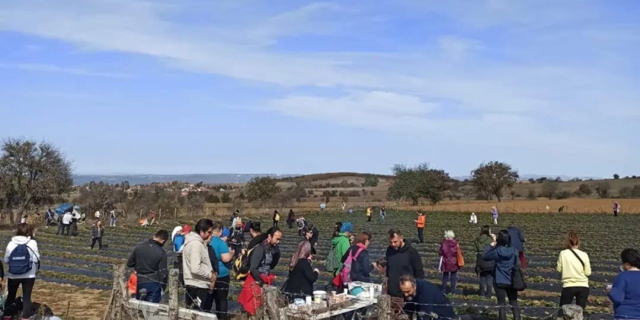 Doğa Yürüyüşü Etkinliğinde Sağlıklı Bir Gün Geçirirken Çilek Toplama Fırsatı Da Buldular