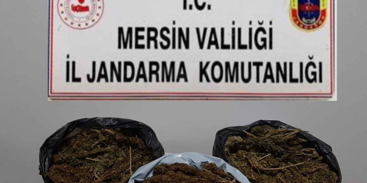 Mersin’de 10 Kilo 248 Gram Skunk Ele Geçirildi