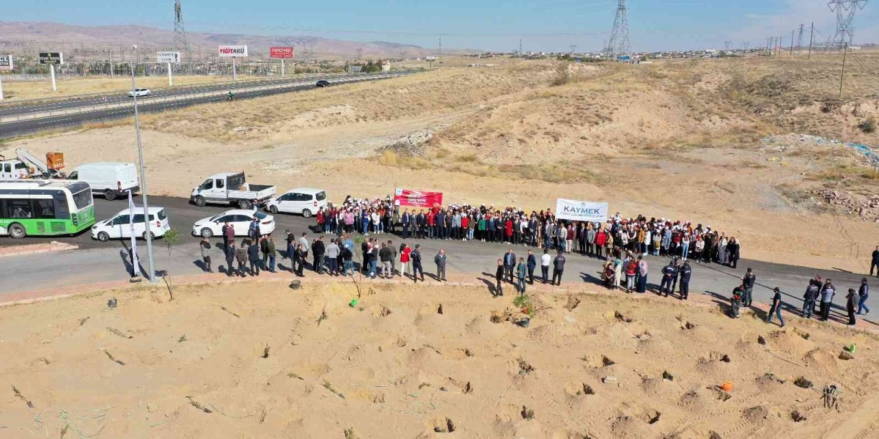 Büyükşehir’den Şehitler Anısına 251 Fidan