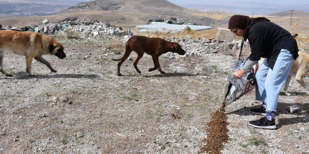 Kocasinan Gençlere Hayvan Sevgisi Aşılıyor