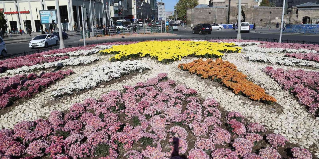 Büyükşehir, Sonbaharda 1 Milyon Çiçek Dikti