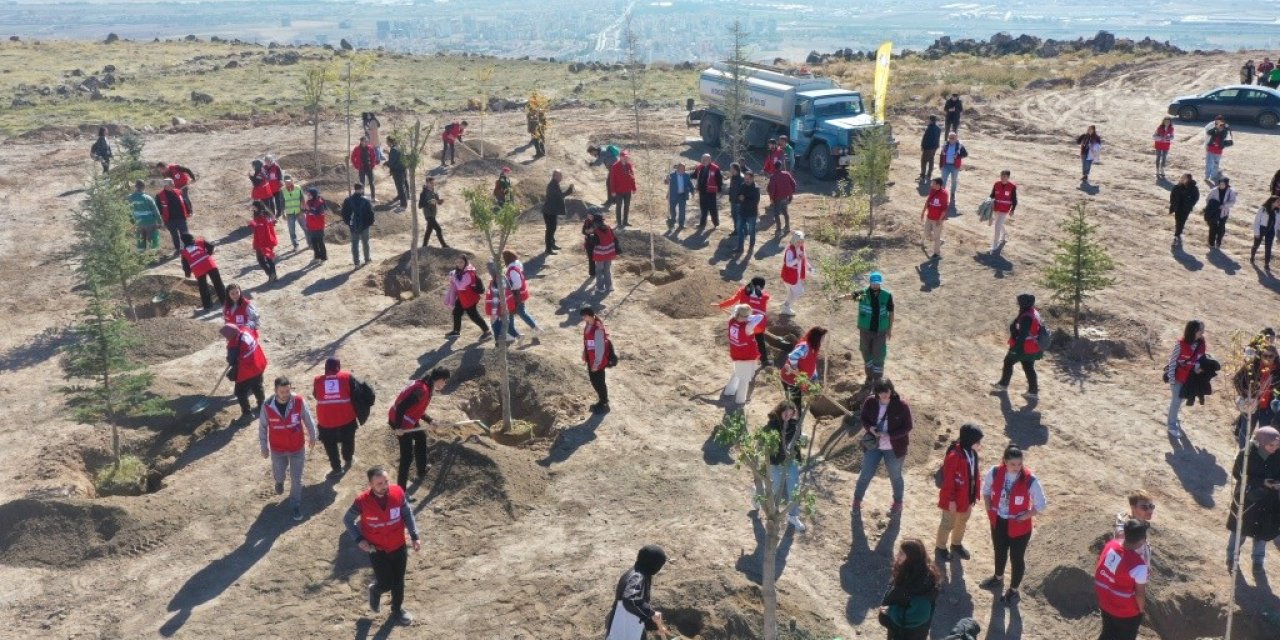 Kocasinan Belediyesi, Kızılay Haftası’nı Ağaçlarla Taçlandırdı