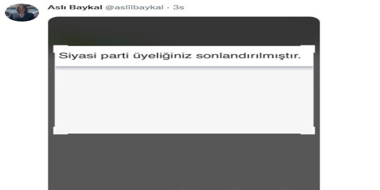 Deniz Baykal’ın Kızı Aslı Baykal Chp’den İstifa Etti