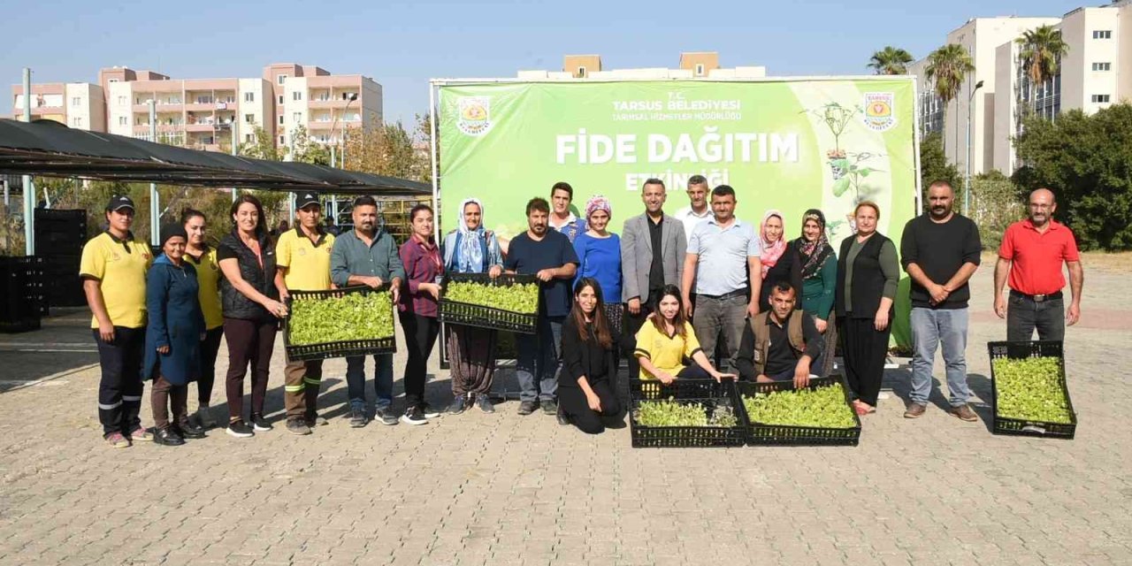 Tarsus’ta Üreticilere Ücretsiz 750 Bin Adet Fide Dağıtıldı