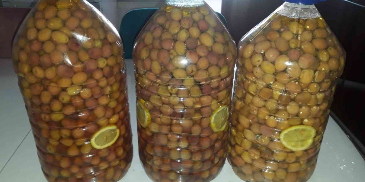 Laçin’de Salamura İşlemi Başladı