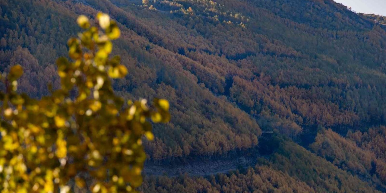 Ortaseki’de Sonbahar Güzelliği