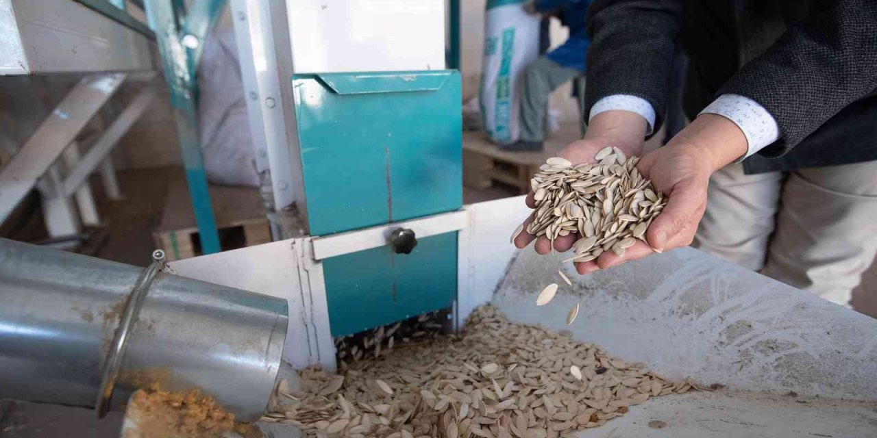 Konya Büyükşehir’den Çumra’daki Kabak Çekirdeği Üreticisine Eleme Tesisi Desteği