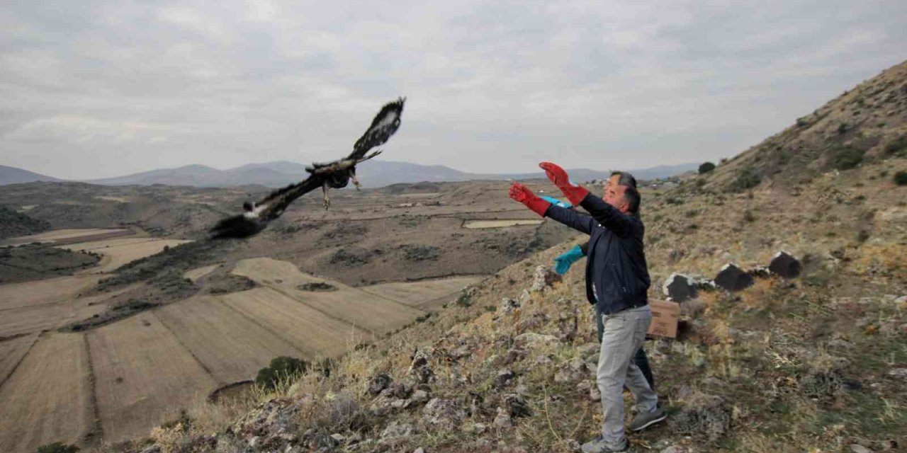 Tedavileri Tamamlanan Yaralı Kuşlar Özgürlüğe Kanat Çırptı