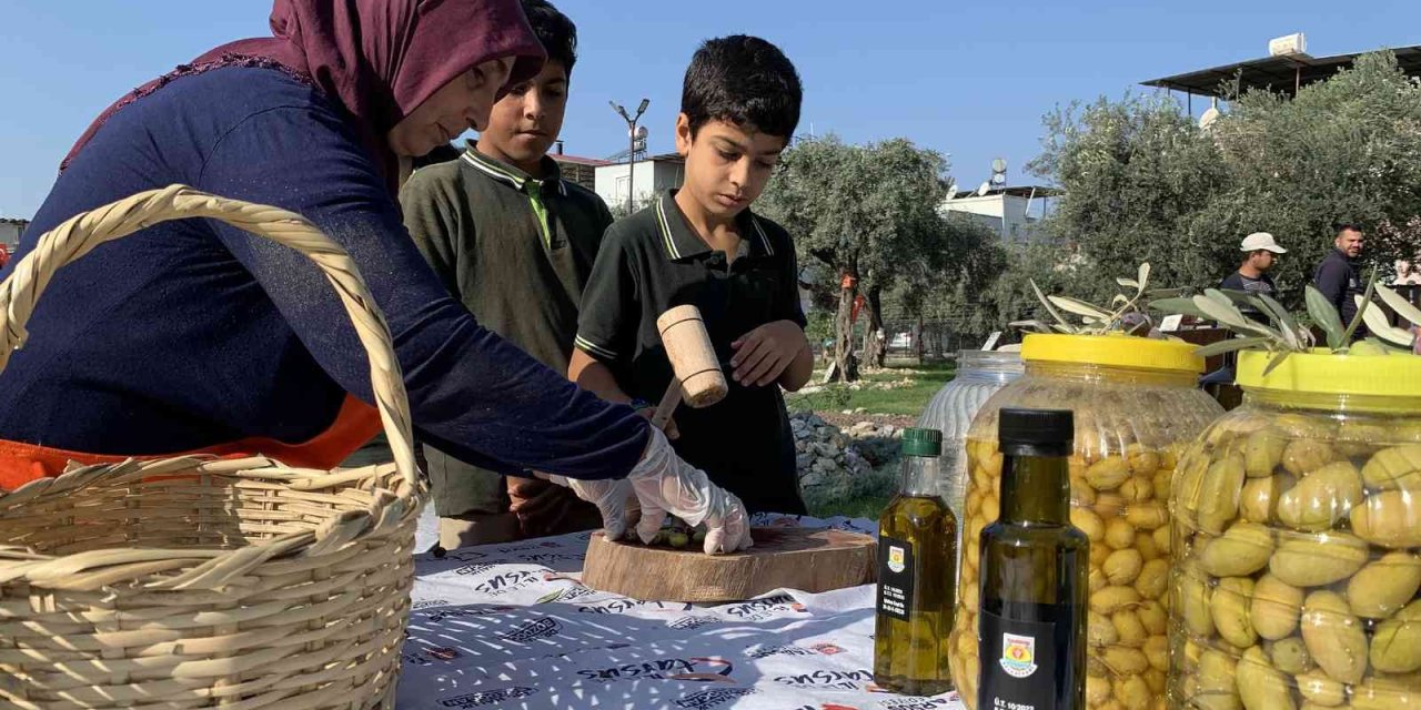 Zeytin Gen Bahçesi Okullara Ev Sahipliği Yapıyor