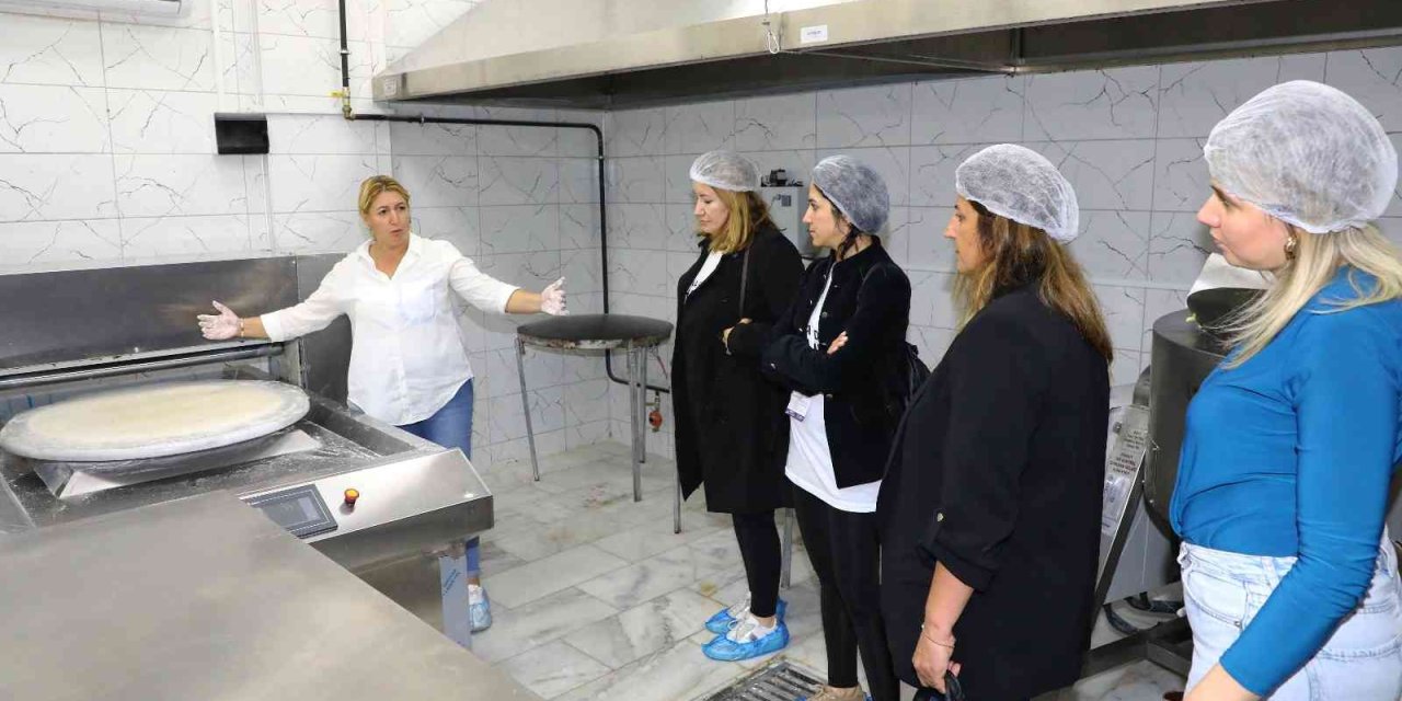 Kadına Yönelik Şiddetle Mücadele Ve Acil Yardım Hattı Çalıştayı Sona Erdi