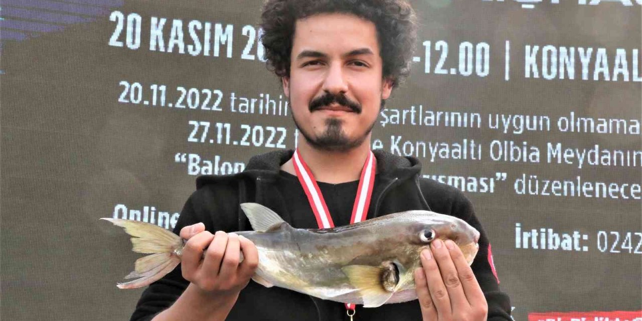 Balıkçılar, Korkulu Rüyası Haline Gelen Balon Balığını Yakalamak İçin Yarıştı