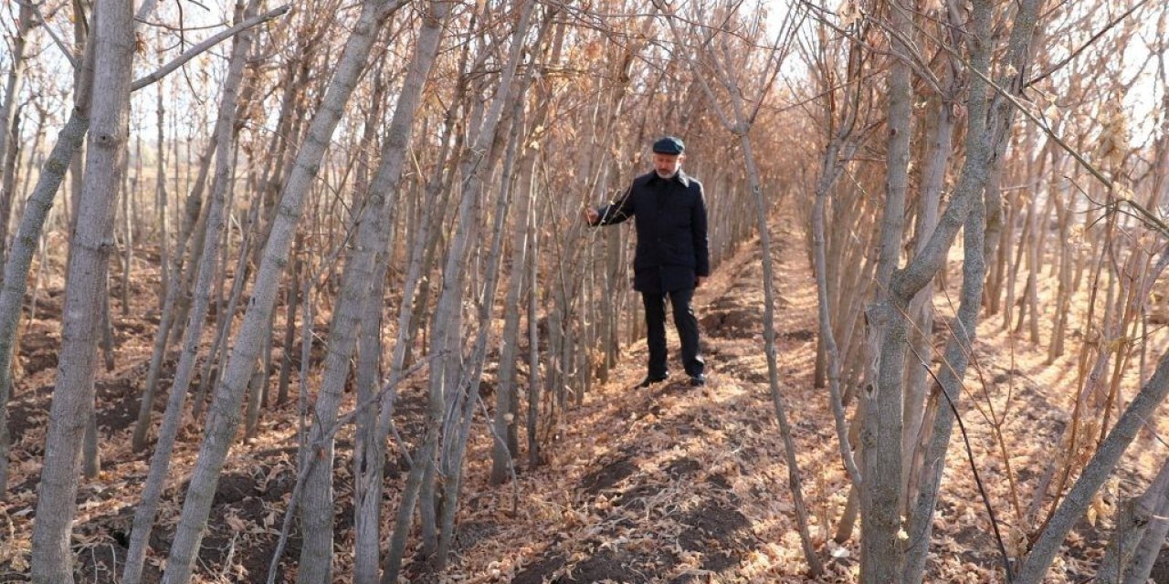 Kocasinan Belediyesi; Kuru Yaprakları Gübreye Dönüştürüyor