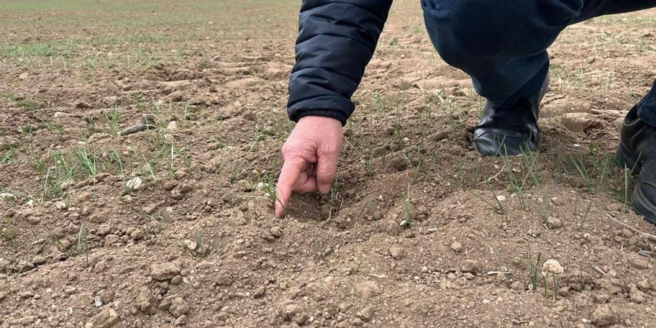 Çiftçi Can Suyu Bekliyor