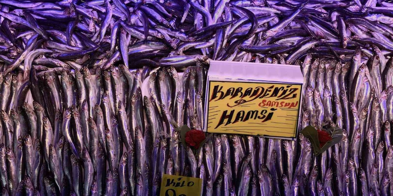 Hamsi Tezgâhları Şenlendirmeye Başladı