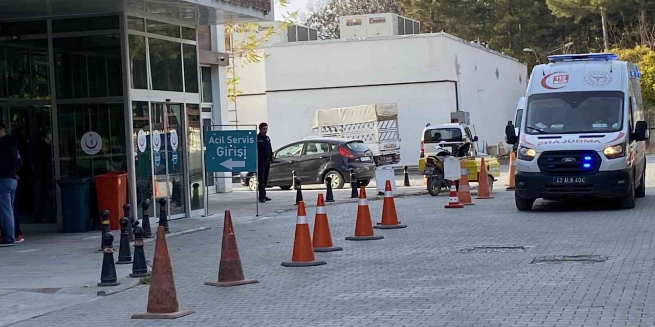 Köpeğe Çarpan Otomobil Şarampole Devrildi: 3 Yaralı