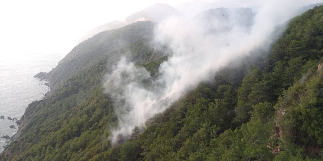 Mersin’de Yıldırım Düşen Ormanlık Alanda Yangın Çıktı
