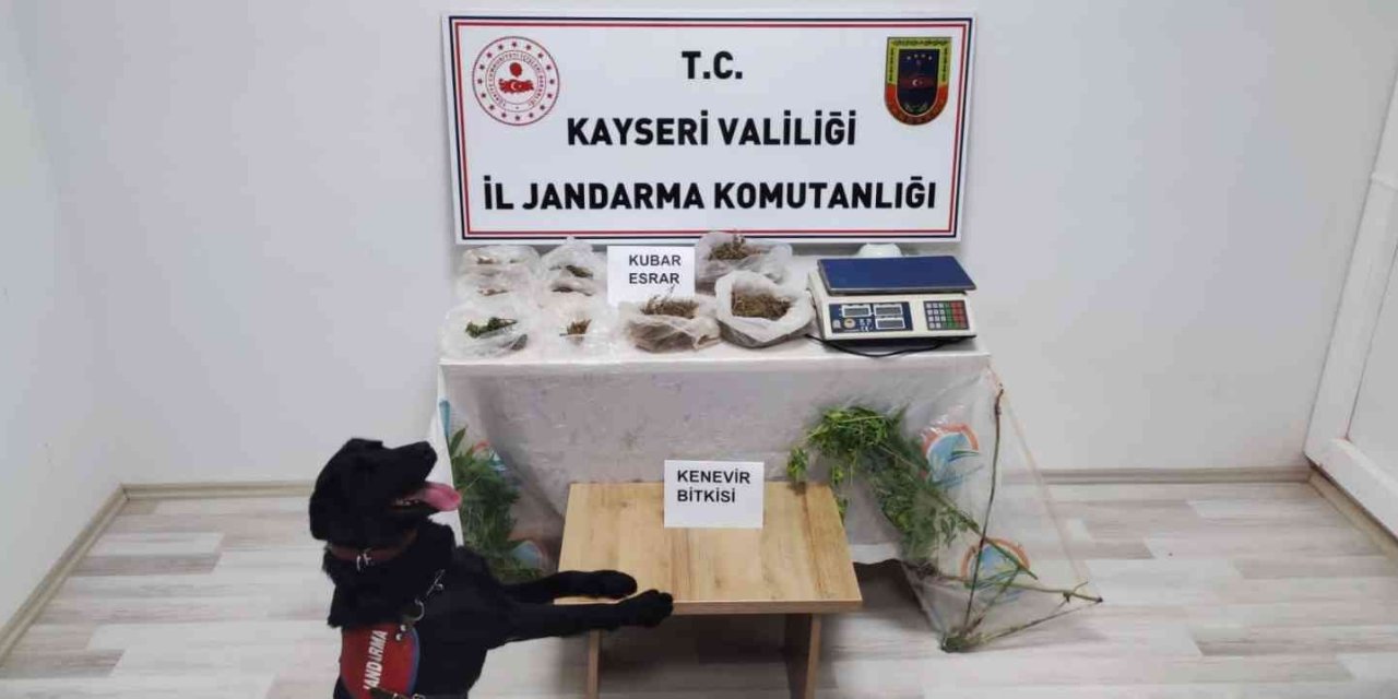 Evinin Bahçesinde Uyuşturucu Üreten Şahıs Yakalandı