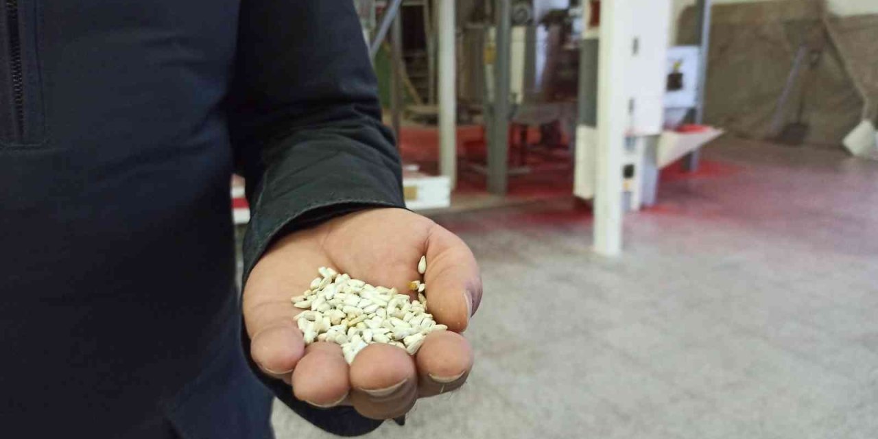 Eskişehir’de Tohum Saklama Ve Gem Bankası