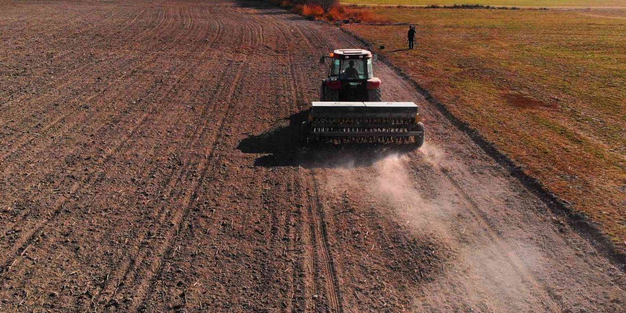 Konya Ovasında Gübre Kullanımı Verim Ve Kalitenin Artmasında Büyük Rol Oynadı