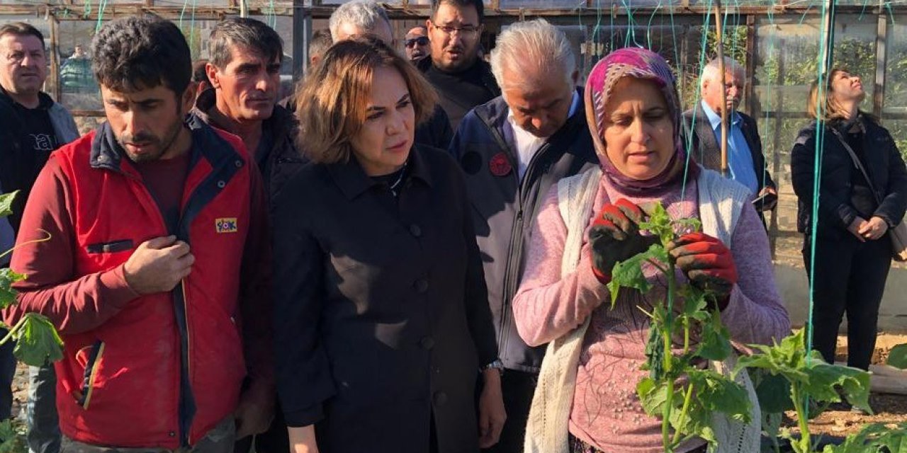 Yılmaz, Silifke’de Doludan Zarar Gören Seralarda İncelemelerde Bulundu