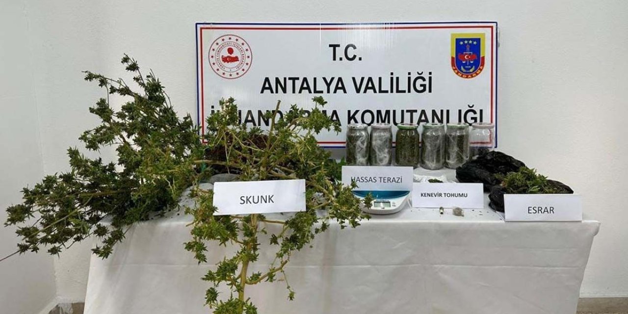 Sera Ve Evde Yetiştirilen Uyuşturucuya Jandarma Operasyonu