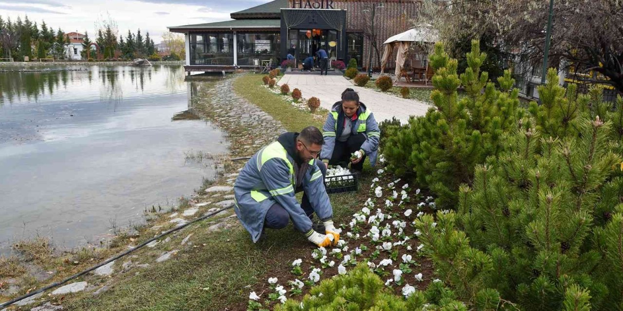 Tepebaşı Çiçekler İle Güzelleşiyor