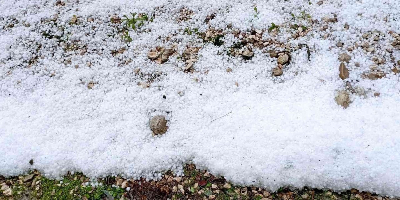 Antalya’da Dolu, Portakal Bahçelerine Ve Seralara Zarar Verdi