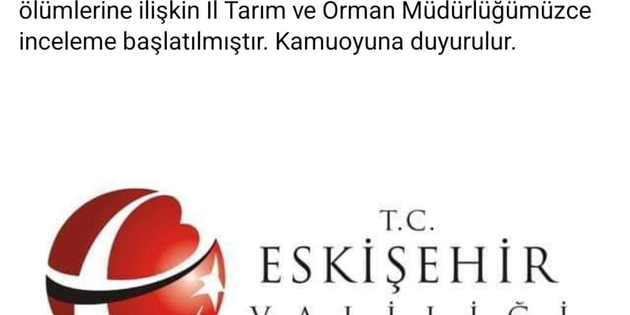 Odunpazarı Belediyesi’nin Hayvan Barınağındaki Vahşetle İlgili İnceleme