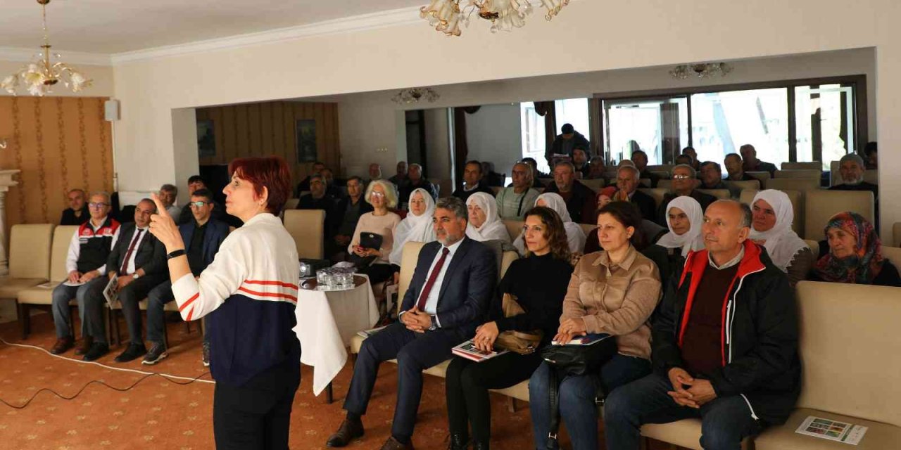 Tozlaştırıcı Arılarla Daha Sağlıklı Ve Daha Fazla Tarımsal Üretim Yapılacak
