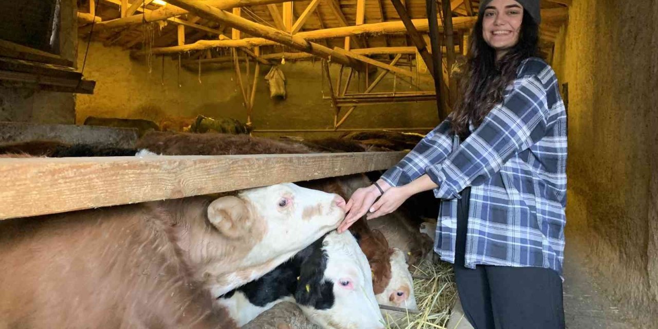 Ailesi Evlenip Gitmesini Beklerken, O Babasının İşini Devralıp Sütçülüğe Başladı