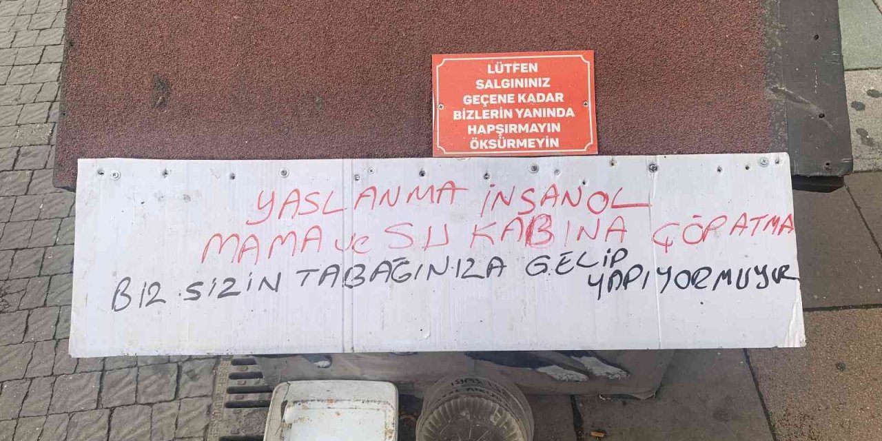 Köpek Kulübesine Yazdığı Yazı İle Hem Şaşırttı Hem De İnsanlık Dersi Verdi