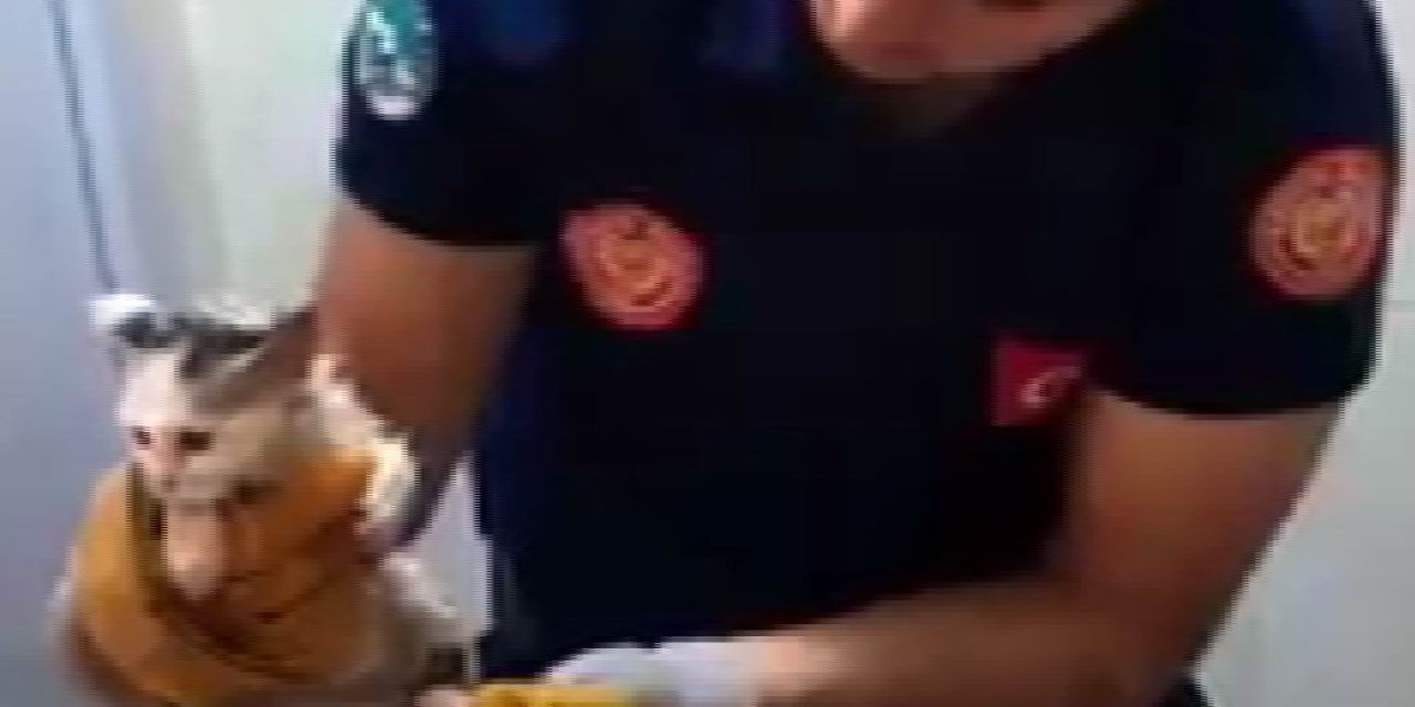 Tuvalete Sıkışan Kedi Kurtarıldı