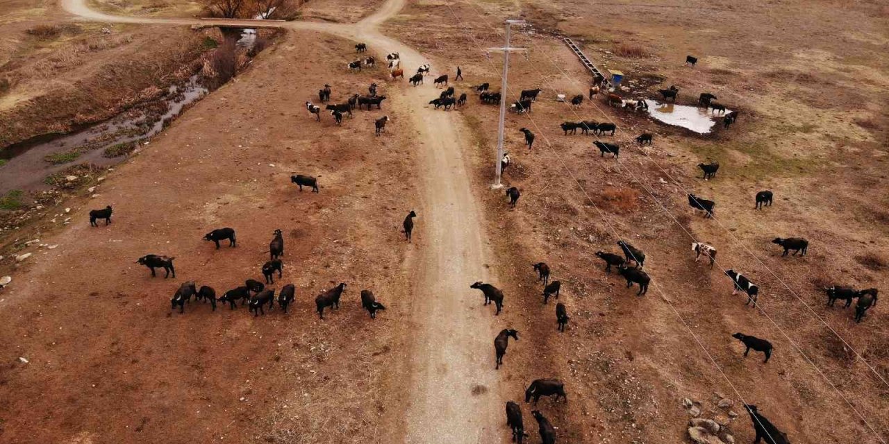 Cumhurbaşkanı Açıkladı İlçe Halkı Daha Fazla Üretim İçin Hızlandı