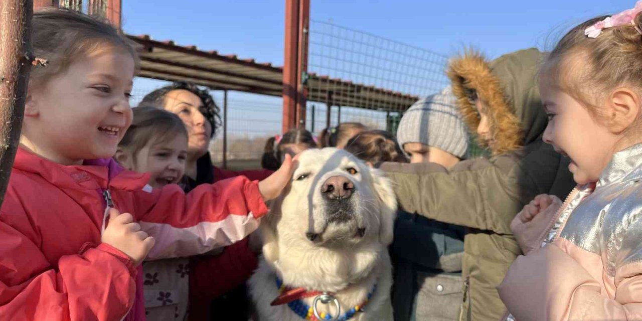 Anneleri İle Aynı Çatı Altında Eğitim Alıyorlar