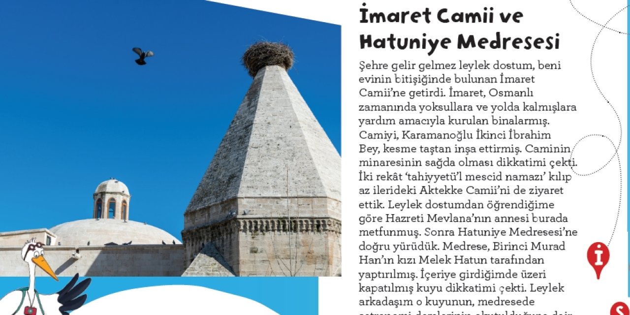 Gezgin Leylek Bu Ay Karaman’ı Ziyaret Etti