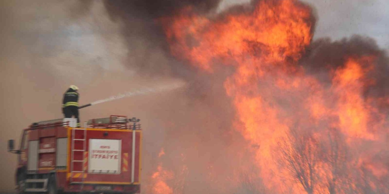 Beyşehir Gölü Kıyısındaki Sazlıklar Alevlere Teslim Oldu