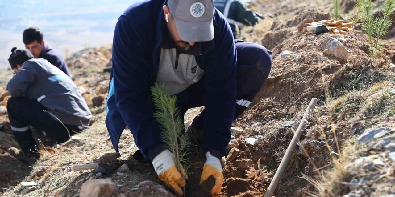 Selçuklu’da Yeşil Dokuya 22 Bin 500 Yeni Fidan Daha Kazandırıldı