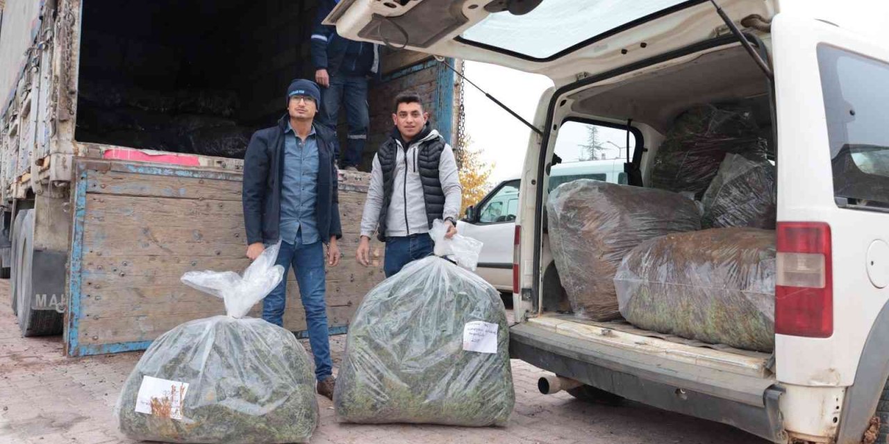 Konya Büyükşehir’in Üreticiye Lavanta Fidesi Desteği Sürüyor